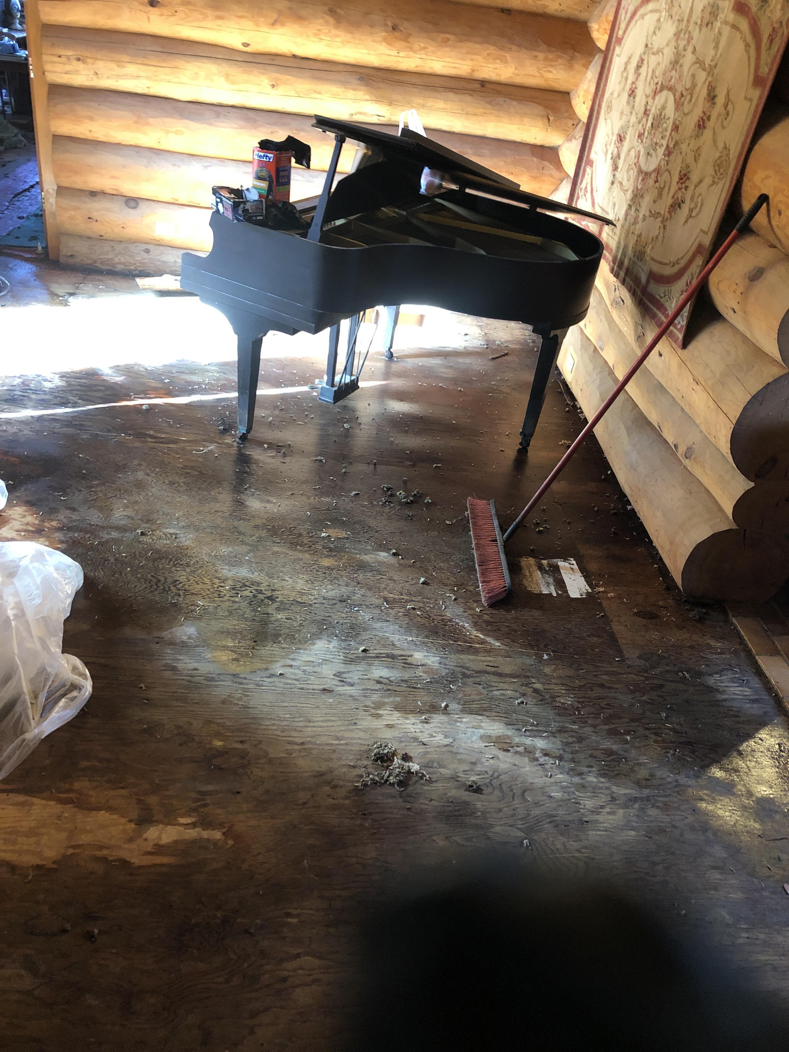Piano room floor wet