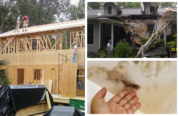 Comprehensive storm damage restoration, mold remediation, and construction services.