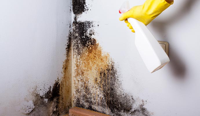 Mold Growth Prevention in Cookeville, TN | Innovative