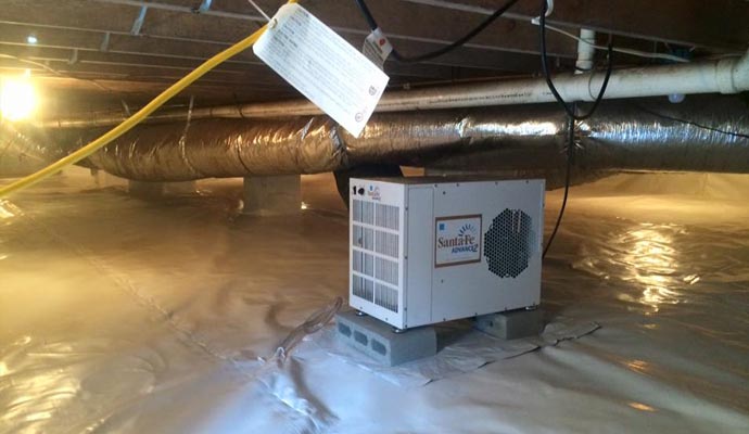 Moldy crawl space and dehumidifier