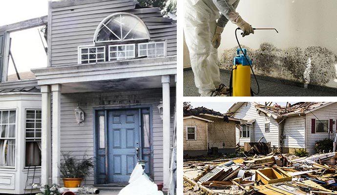 Worker involved in disaster cleanup, black mold remediation, and disaster restoration