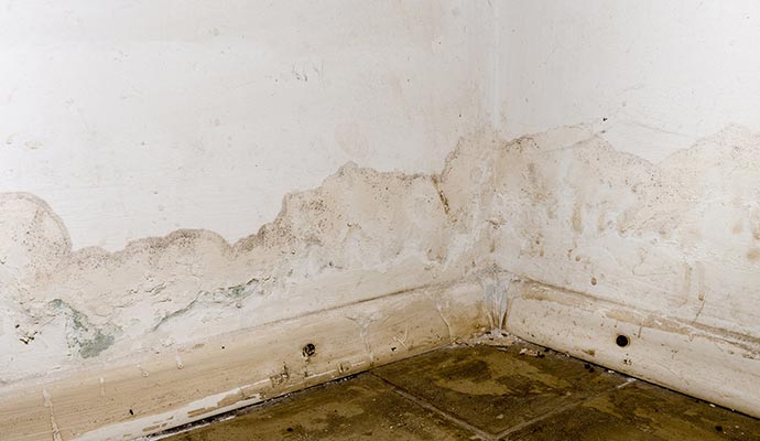 Drywall Water Damage Restoration in Cookeville & Crossville, TN