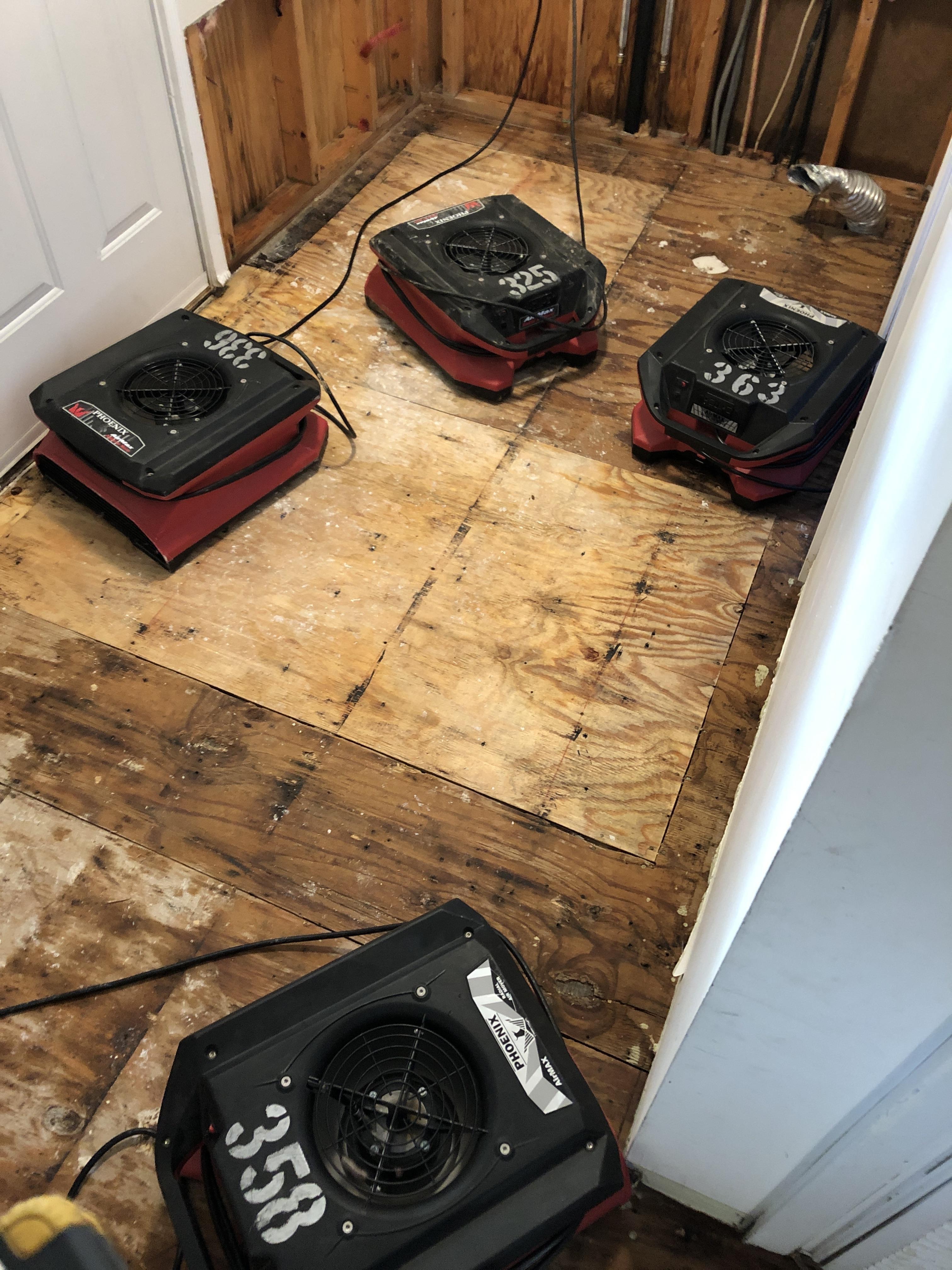 Removed flooring and set up dehumidifiers in laundry room