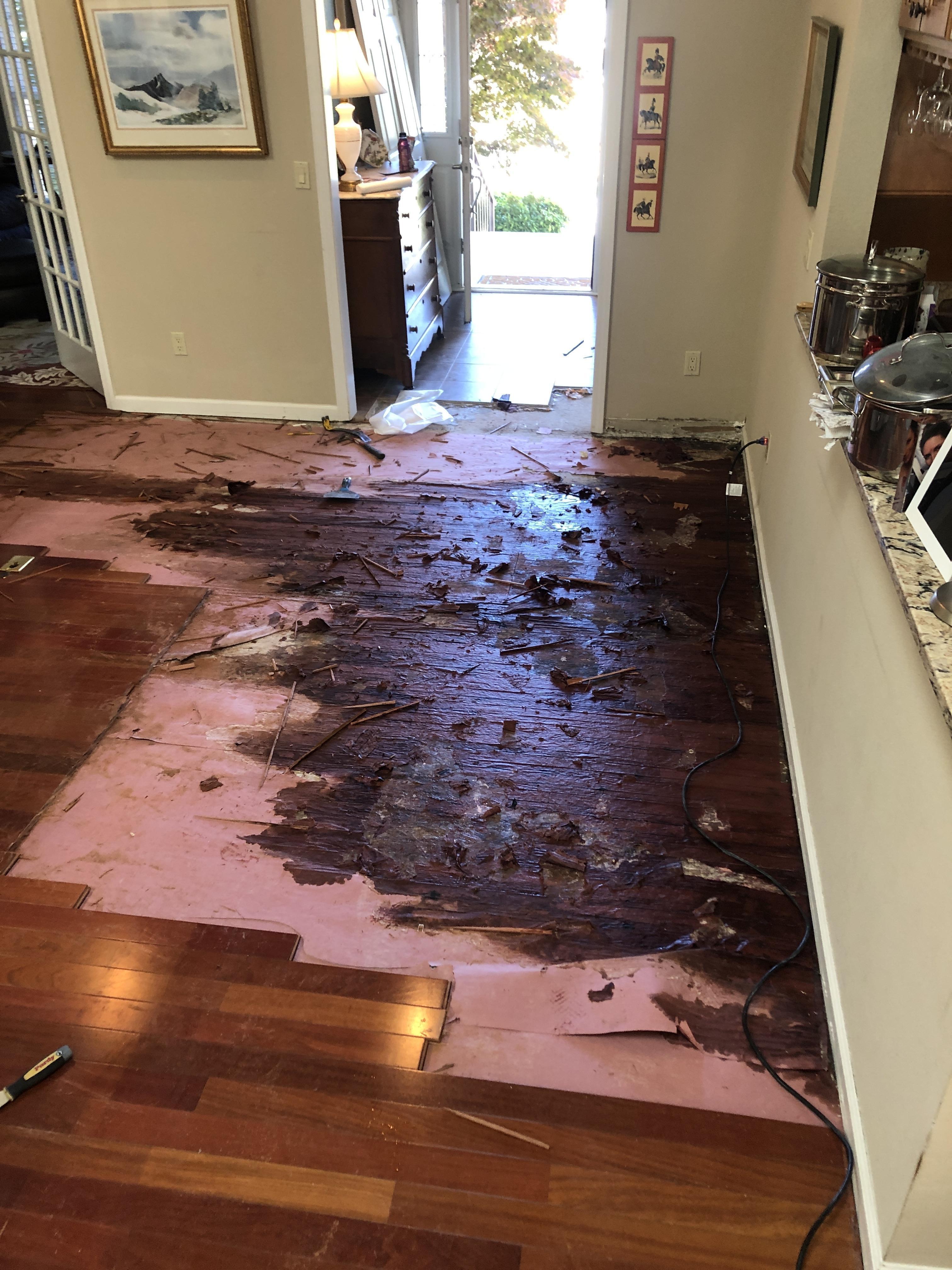 Water damage in living room