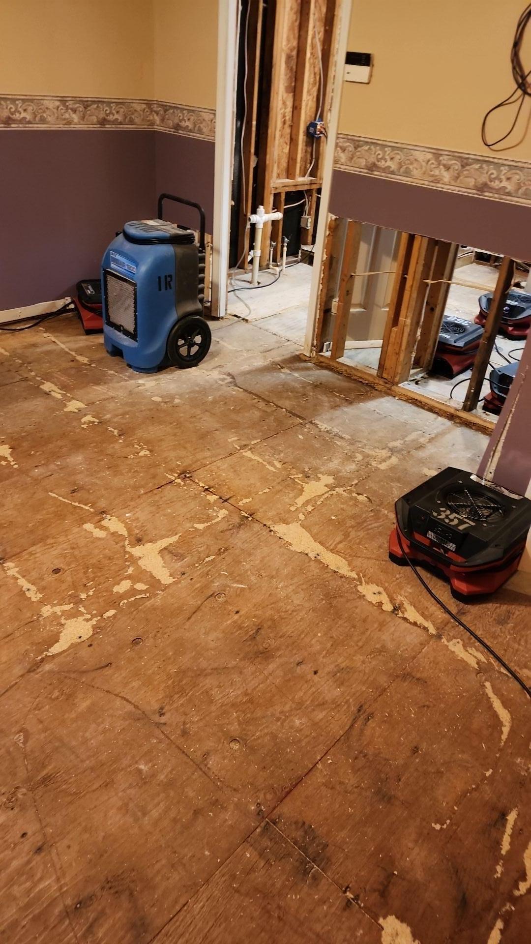 Drying out the floors and walls with dehumidifiers
