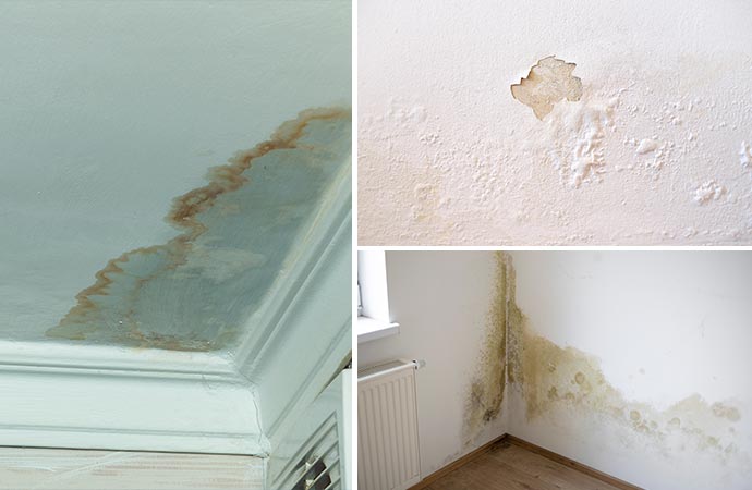 Mold damage caused by water leak, with dripping paint, peeling surfaces, and a musty odor.