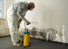 worker removing mold from the wall