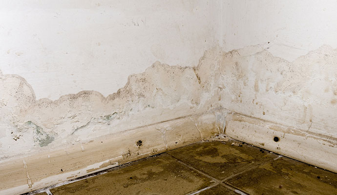 Is a Musty Smell a Sign of Water Damage?