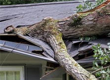 Storm damaged roof