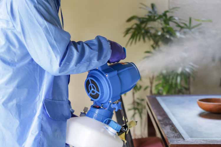 fogging disinfectant