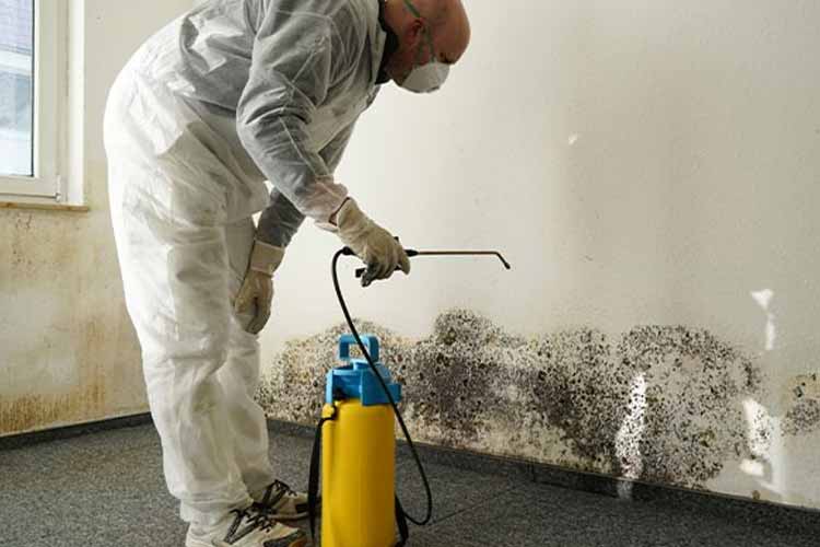 restoration-poison-sprayer